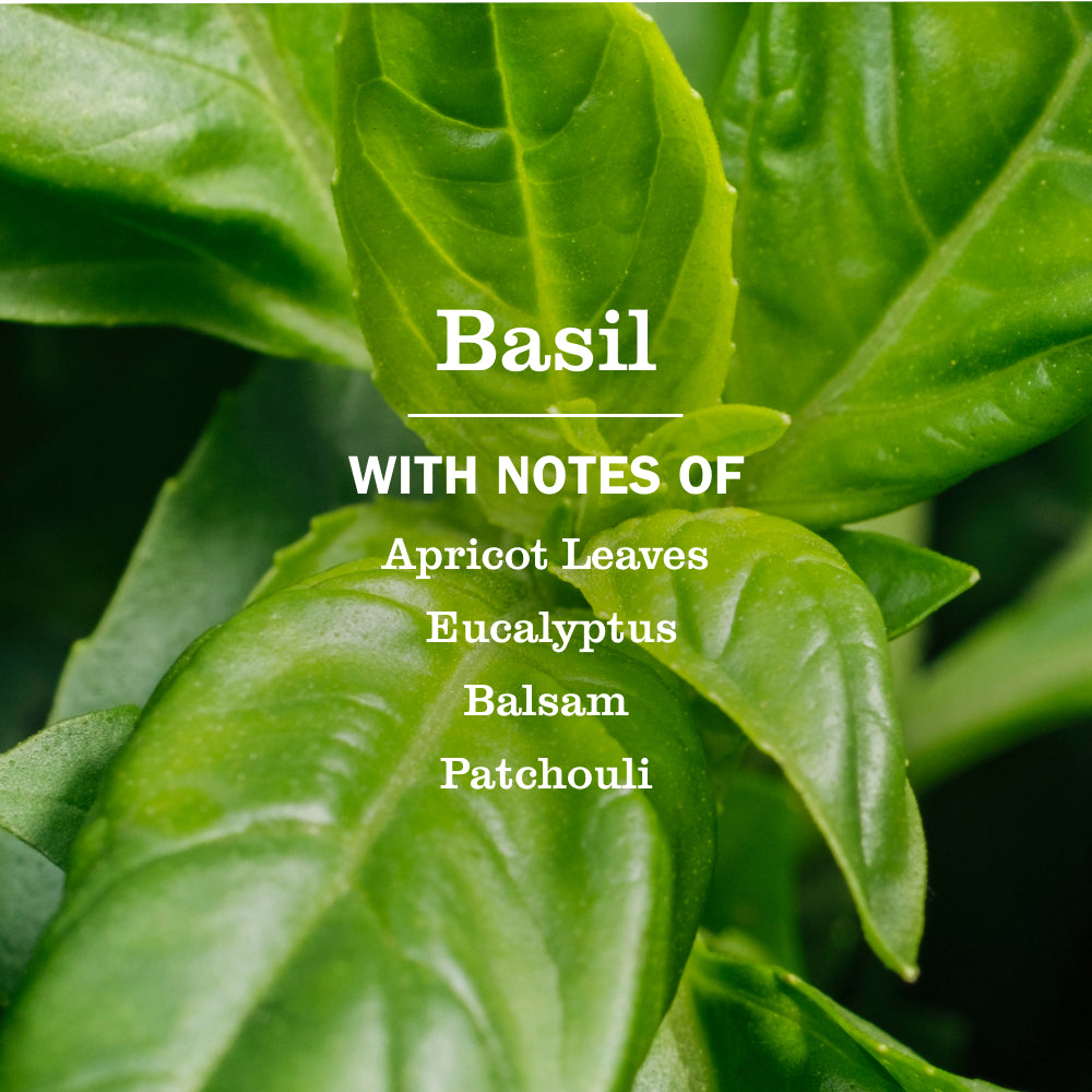 Basil Kitchen Basics Set - Image 4