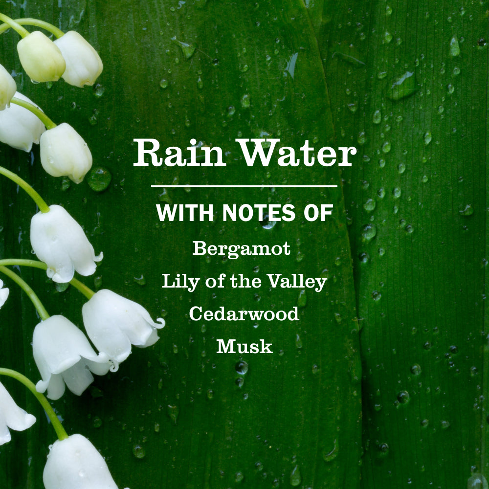 Rain Water Laundry Detergent - Image 3